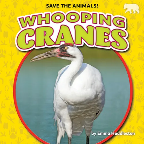 Whooping Cranes - Library Binding