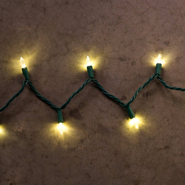 Warm White LED String Lights - 100 Light - Green Wire