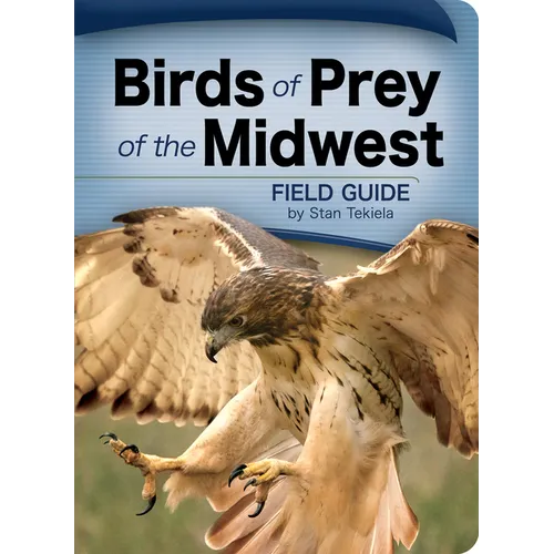Birds of Prey of the Midwest - Paperback