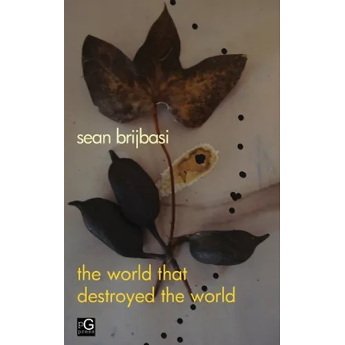 The world that destroyed the world: a poem - Paperback