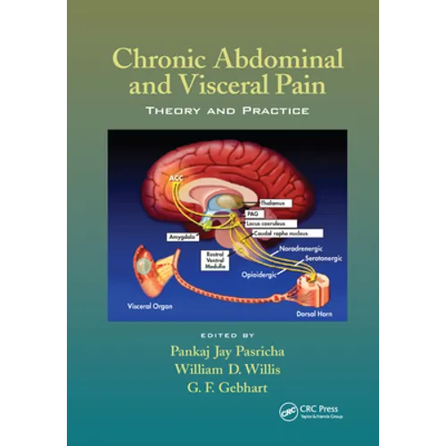 Chronic Abdominal and Visceral Pain: Theory and Practice - Paperback