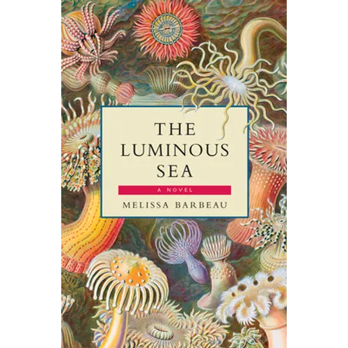 The Luminous Sea - Paperback