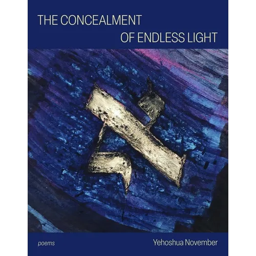The Concealment of Endless Light - Paperback