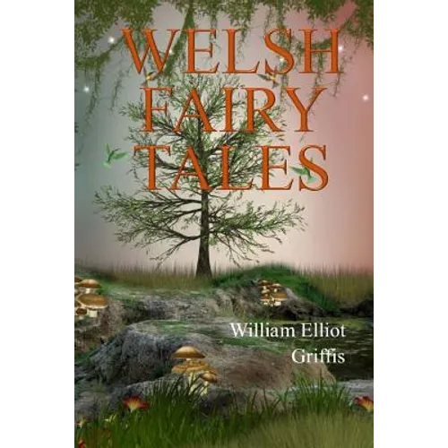 Welsh Fairy Tales - Paperback