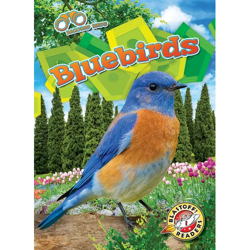 Bluebirds - Library Binding