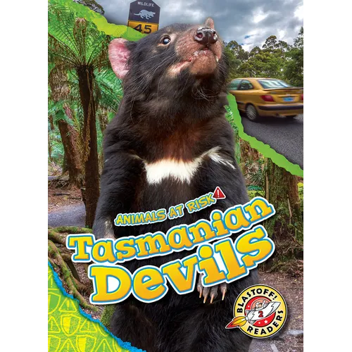 Tasmanian Devils - Library Binding
