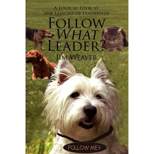 Follow What Leader?: A Logical Look at the Lessons of Leadership - Paperback