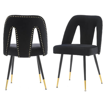 Set of 2: Modern Dining Chairs