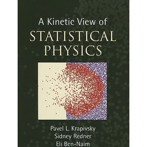 A Kinetic View of Statistical Physics - Hardcover