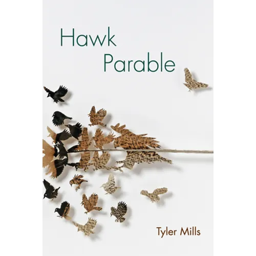 Hawk Parable: Poems - Paperback
