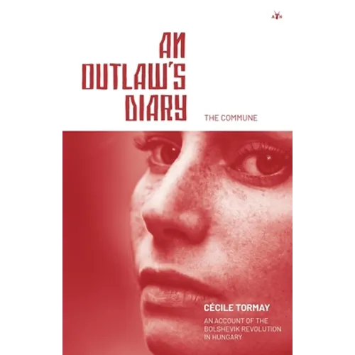 An Outlaw's Diary - Paperback