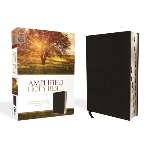 Amplified-Am: Captures the Full Meaning Behind the Original Greek and Hebrew - Bonded Leather