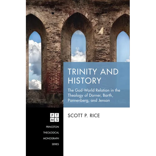 Trinity and History: The God-World Relation in the Theology of Dorner, Barth, Pannenberg, and Jenson - Paperback