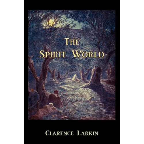 The Spirit World - Paperback