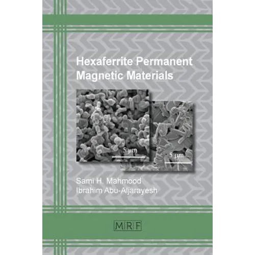 Hexaferrite Permanent Magnetic Materials - Paperback