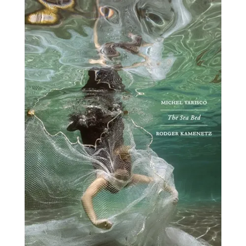 The Sea Bed: a collaboration between Michel Varisco and Rodger Kamenetz - Paperback