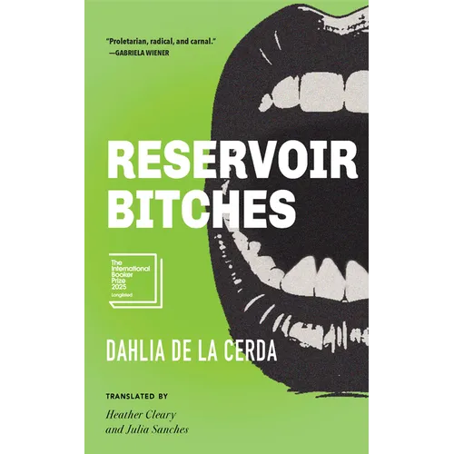 Reservoir Bitches: Stories - Paperback