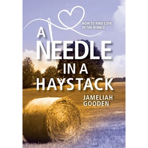 A Needle in a Haystack: How to Find Love in the Rubble - Hardcover
