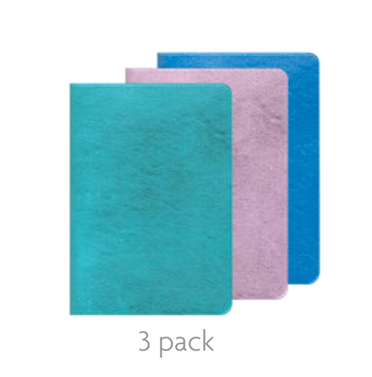 Soft Cover Notebook 3 Pack - Blue, Pink Blue