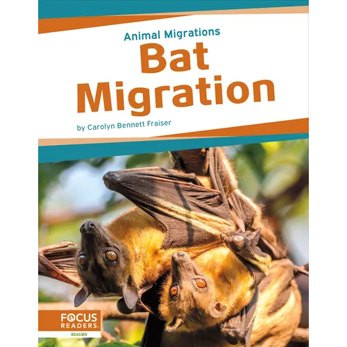 Bat Migration - Paperback