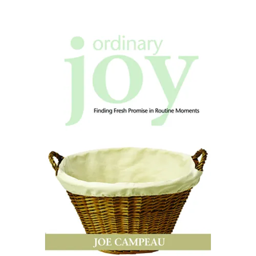 Ordinary Joy: Finding Fresh Promise in Routine Moments - Paperback