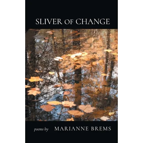 Sliver of Change - Paperback