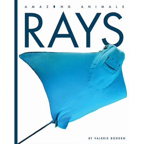 Rays - Library Binding