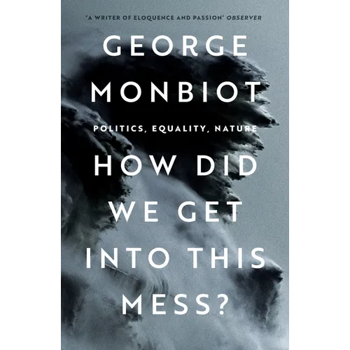 How Did We Get Into This Mess?: Politics, Equality, Nature - Paperback
