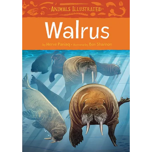 Animals Illustrated: Walrus - Hardcover