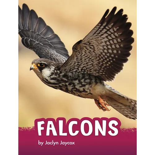 Falcons - Hardcover