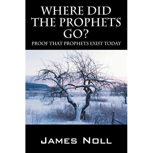 Where Did The Prophets Go?: Proof That Prophets Exist Today - Paperback