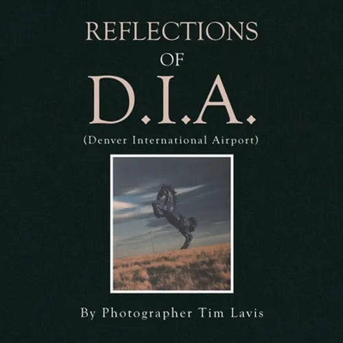 Reflections of D.I.A. - Paperback