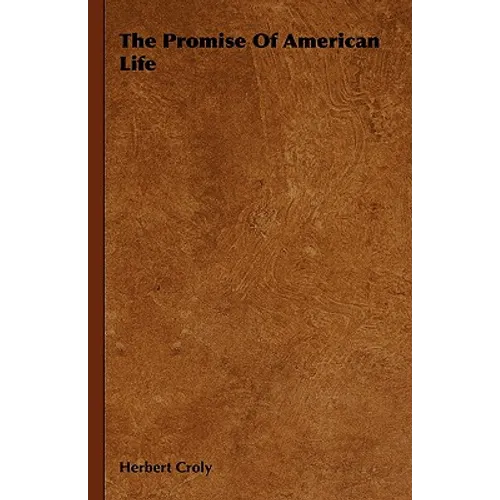 The Promise Of American Life - Hardcover