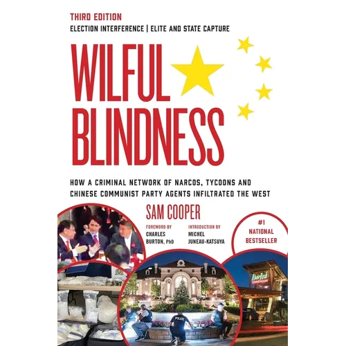 Wilful Blindness Election Interference Elite and State Capture - Paperback