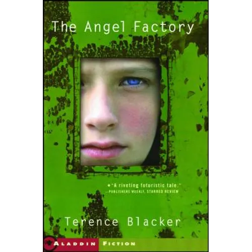 The Angel Factory - Paperback