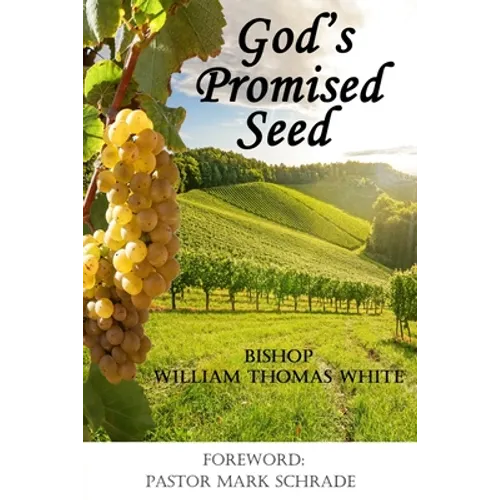 God's Promised Seed: Book Studies of Jesus the Christ - Paperback