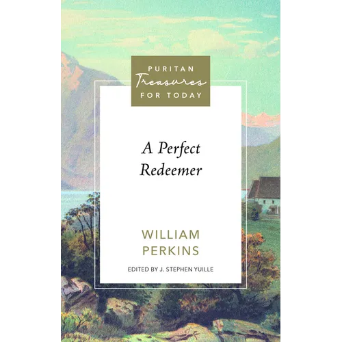 A Perfect Redeemer - Paperback