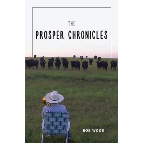 The Prosper Chronicles - Paperback