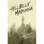 Hillbilly Madonna - Paperback