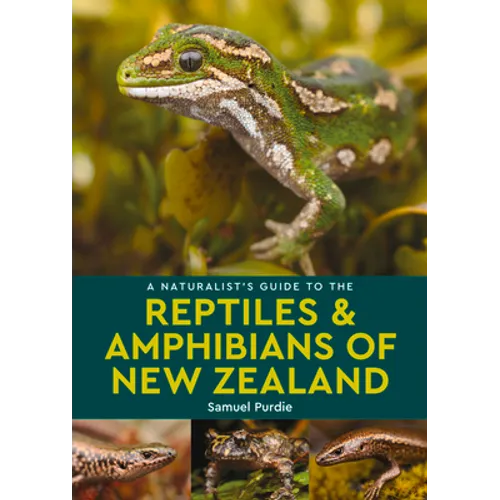 A Naturalist's Guide to the Reptiles & Amphibians of New Zealand - Paperback