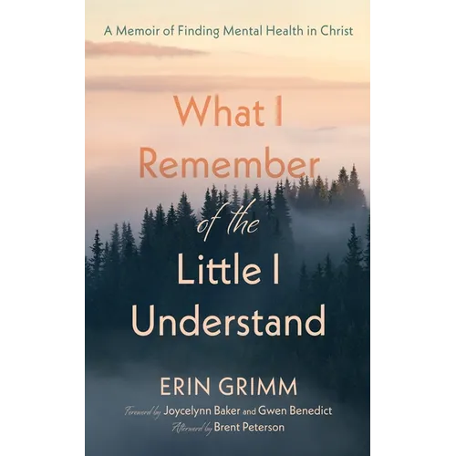 What I Remember of the Little I Understand: A Memoir of Finding Mental Health in Christ - Paperback
