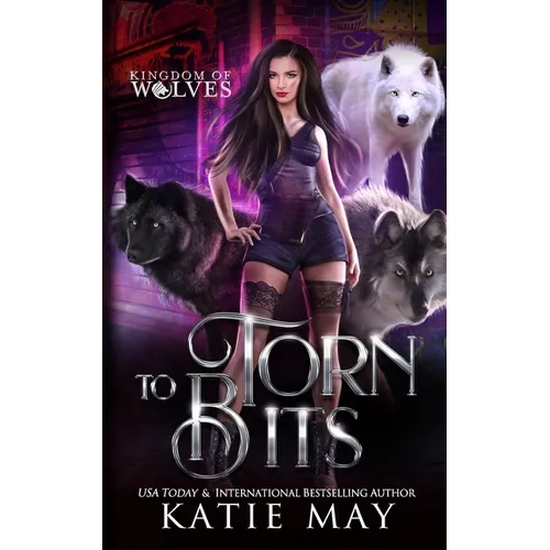 Torn to Bits - Paperback