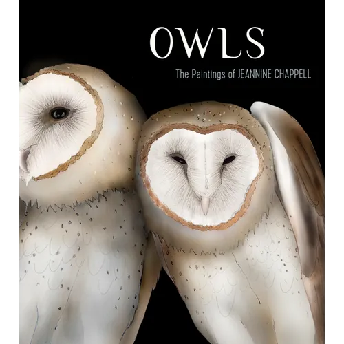Owls: The Paintings of Jeannine Chappell - Hardcover
