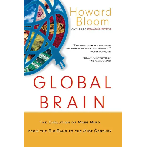 Global Brain: The Evolution of Mass Mind from the Big Bang to the 21st Century - Hardcover