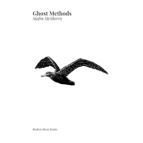 Ghost Methods - Paperback