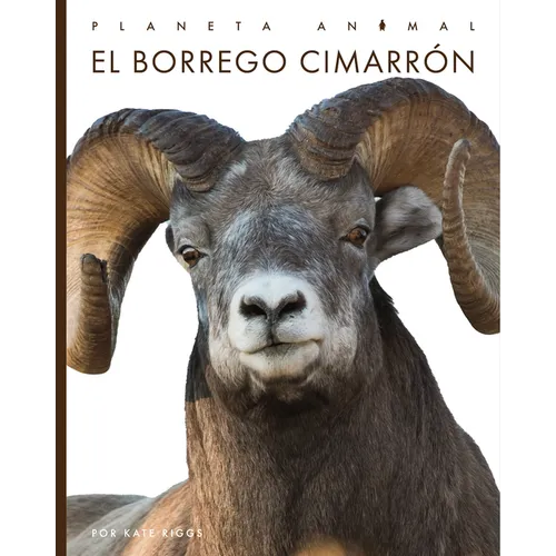El Borrego Cimarrón - Library Binding