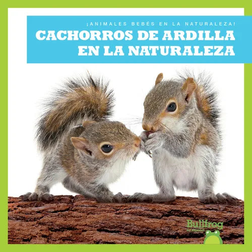 Cachorros de Ardilla En La Naturaleza (Squirrel Kits in the Wild) - Library Binding