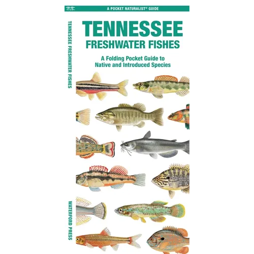 Tennessee Freshwater Fishes - Paperback