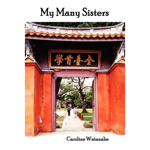 My Many Sisters, the Journal of a Volunteer with the Daughters of Charity - Paperback
