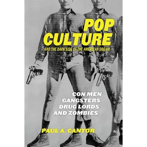 Pop Culture and the Dark Side of the American Dream: Con Men, Gangsters, Drug Lords, and Zombies - Hardcover